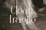 Last preview image of Clean Fragile – Sans Serif Font