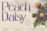 Last preview image of Peach Daisy