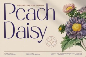 Peach Daisy - Sans Serif Font