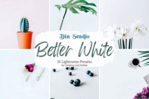 Better White Lightroom Presets