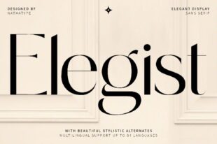 Elegist - Sans Serif Font