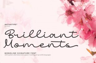 Brilliant Moments - Script Font