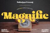 Last preview image of Magnific – Display Serif Font