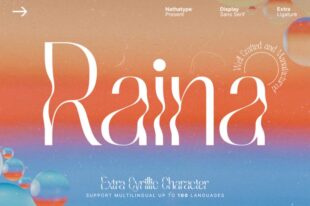 Raina - Display Sans Serif Font