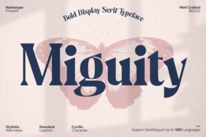 Miguity - Display Serif Font