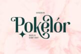 Last preview image of Pokelor – Display Serif Font