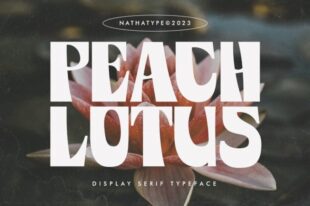 Peach Lotus - Display Serif Font
