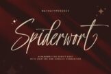 Last preview image of Spiderwort- Handwritten Font