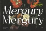 Last preview image of Mergury- Sans Serif Font