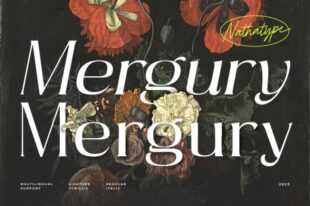 Mergury- Sans Serif Font
