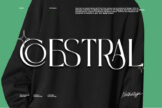 Last preview image of Coestral- Serif Font