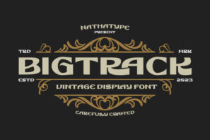 Bigtrack- Display Font