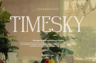 Timesky- Serif Font