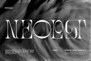 Neolost- Display Serif Font