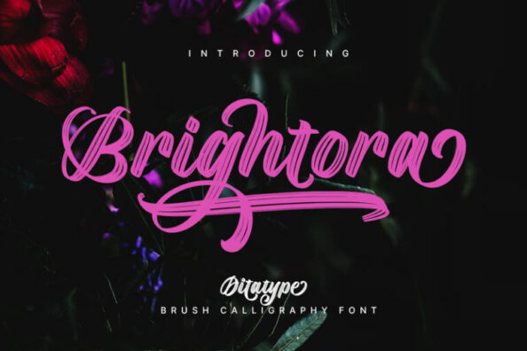Brightora - Brush Calligraphy Script Font