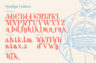 Gallery image item #7