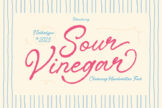 Last preview image of Sour Vinegar – Logotype Handwritten Font