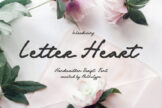 Last preview image of Letter Heart – Handwritten Script Font