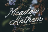 Last preview image of Meadow Anthem – Charming Handwritten Font