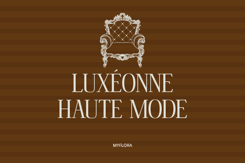 High-End Fashion Fonts