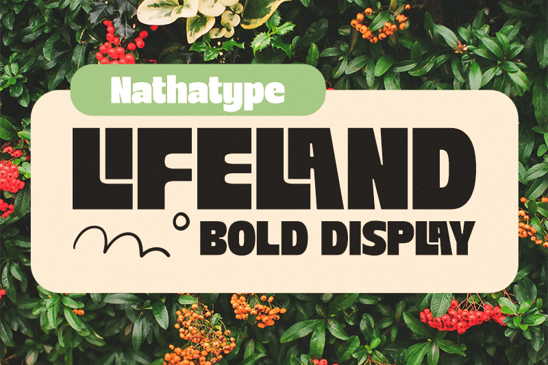 chunky display font