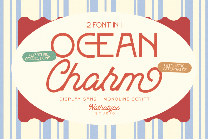 stunning handwritten font