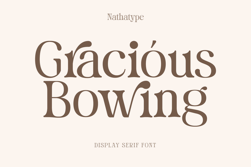 stylish display serif font