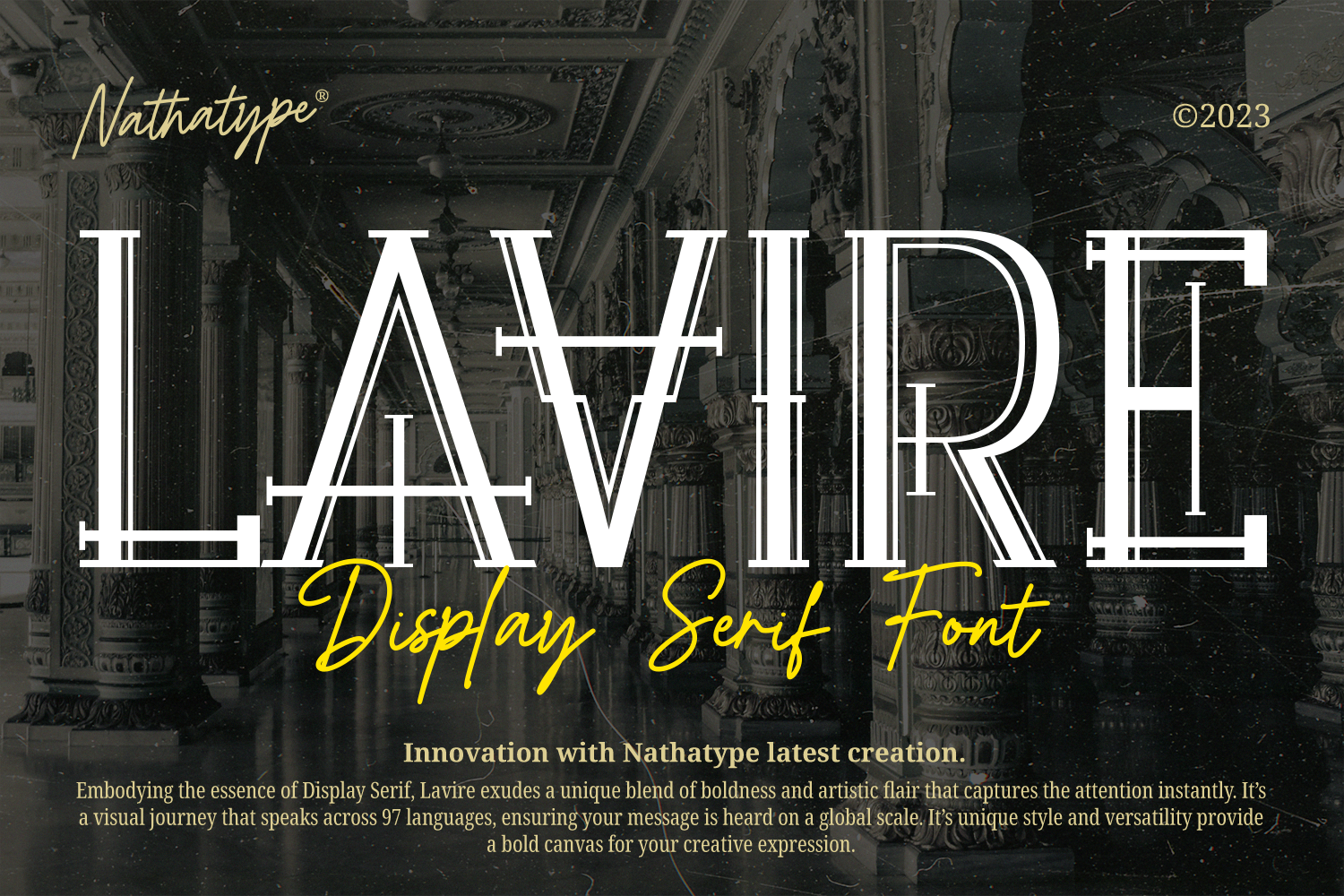 stylish display serif font