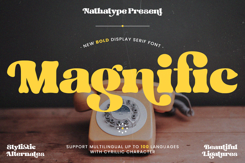 display serif font